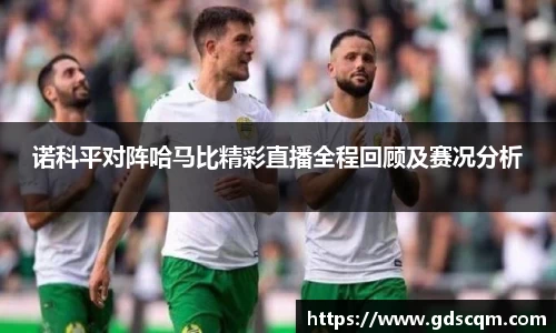 诺科平对阵哈马比精彩直播全程回顾及赛况分析